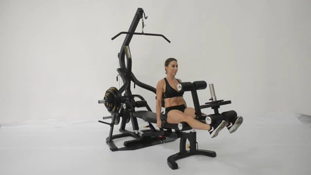 LEG LIFT-CURL ATTACHMENT - Image 3